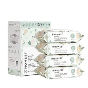 The Honest Company Clean Conscious Multi-Use Wipes, Unscented Hypoallergenic Baby Wipes for Sensitive Skin, 99% Water Plant-Based Compostable Wipes, Geo Mood, 288 Count